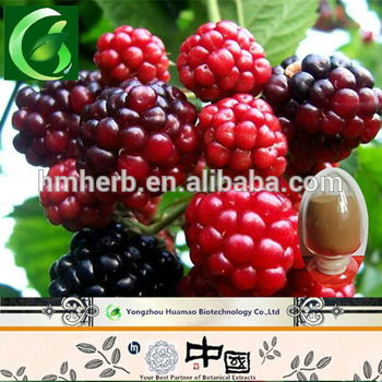 Natural Red Rasberry Seeds Extract Powder